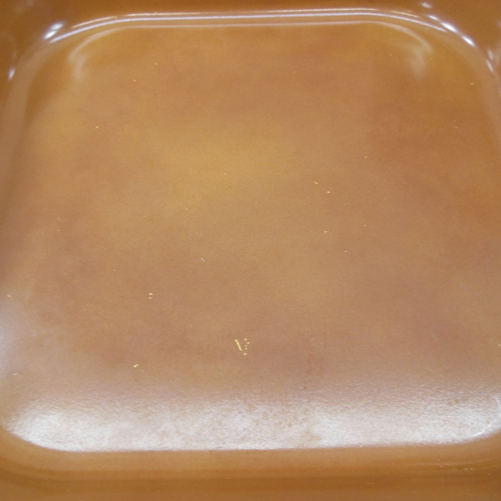 Sunbeam Vista USA Electric Fry Pan Skillet Cape Cod Lobster Cove Rare Used