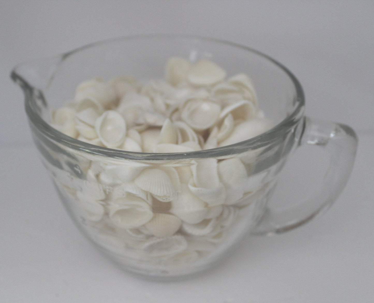 Seashells - Florida Natural Shells Small White Bulk 4 Cups Wedding Jewelry Shell Art - Olde Kitchen & Home