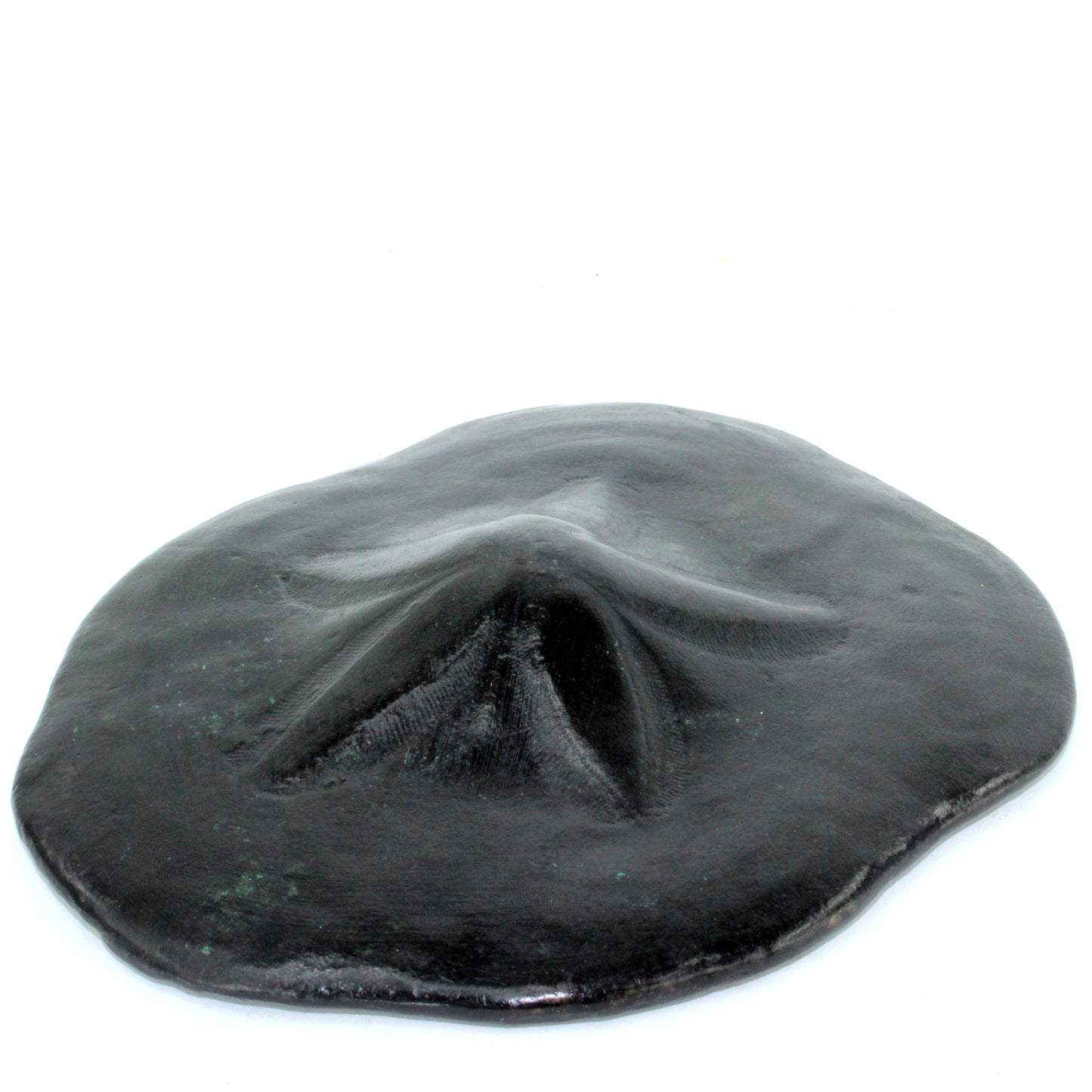 Heavy Metal Cast Sand Dollar Decorative Usable dimensional raised natural shape