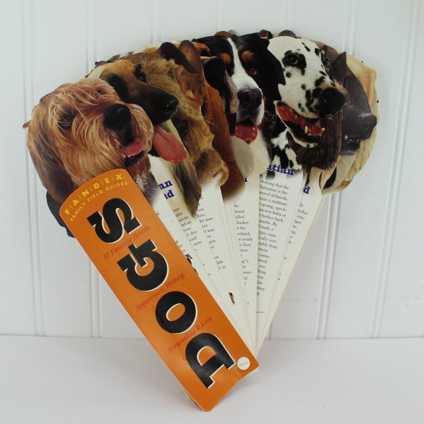 Fandex Family Field Guide Dogs - Fan Shape Super Cool