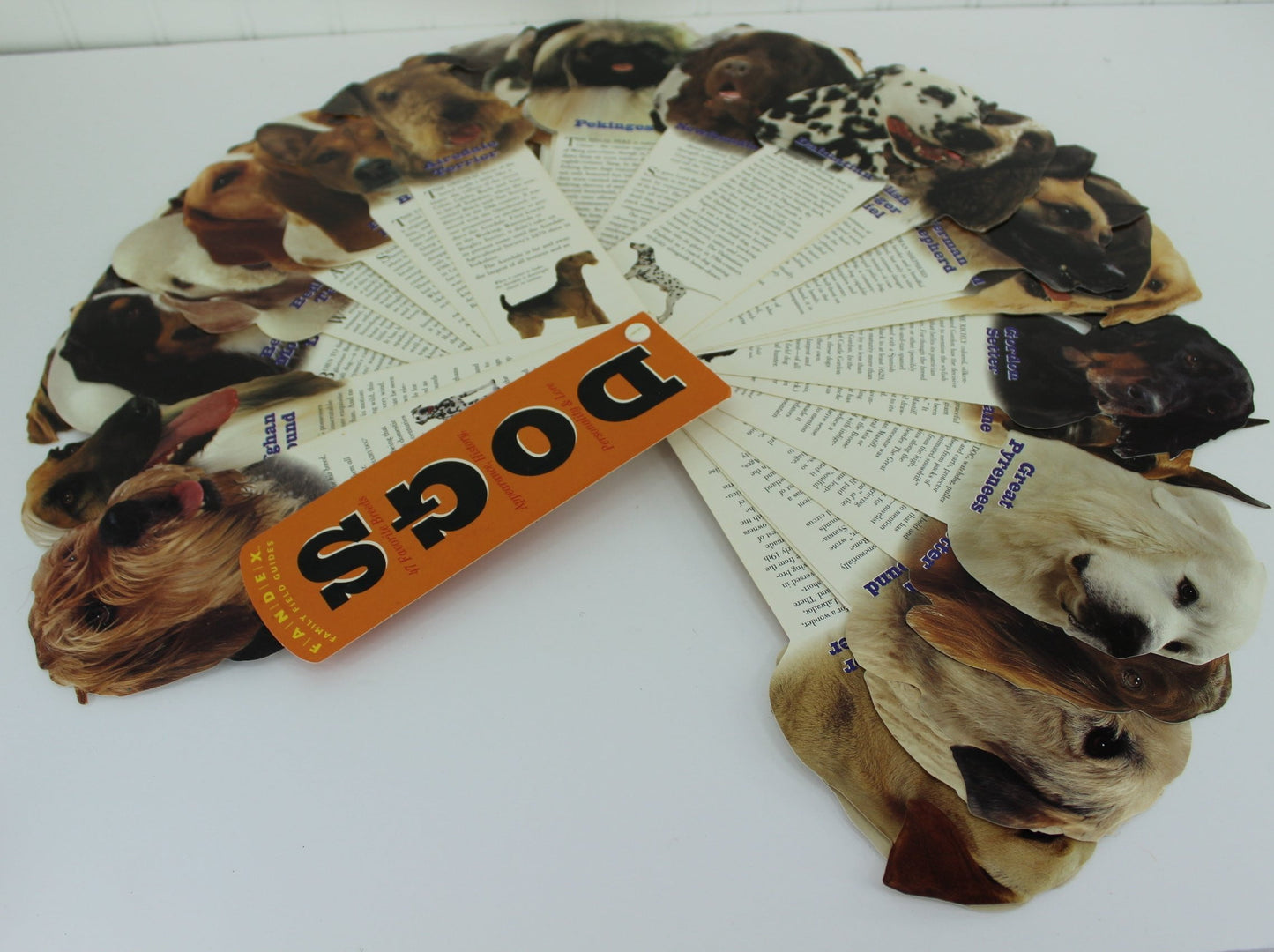 Fandex Family Field Guide Dogs - Fan Shape Super Cool history of breeds