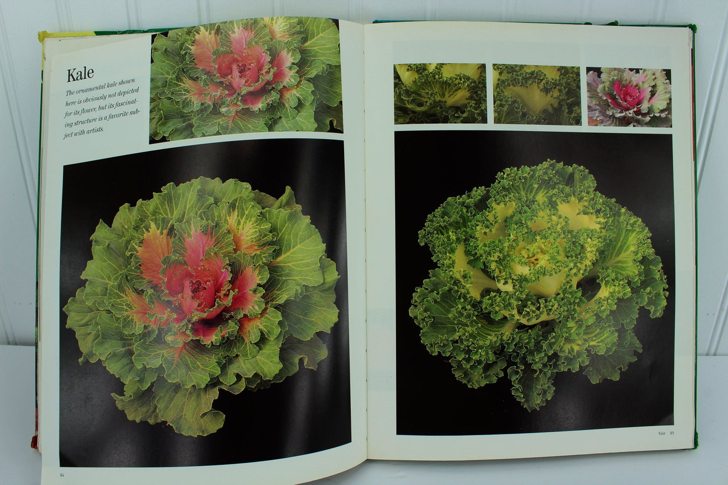 Gary Greene Artist's Photo Reference Flowers 500+ Photos & How To 1997 vintage