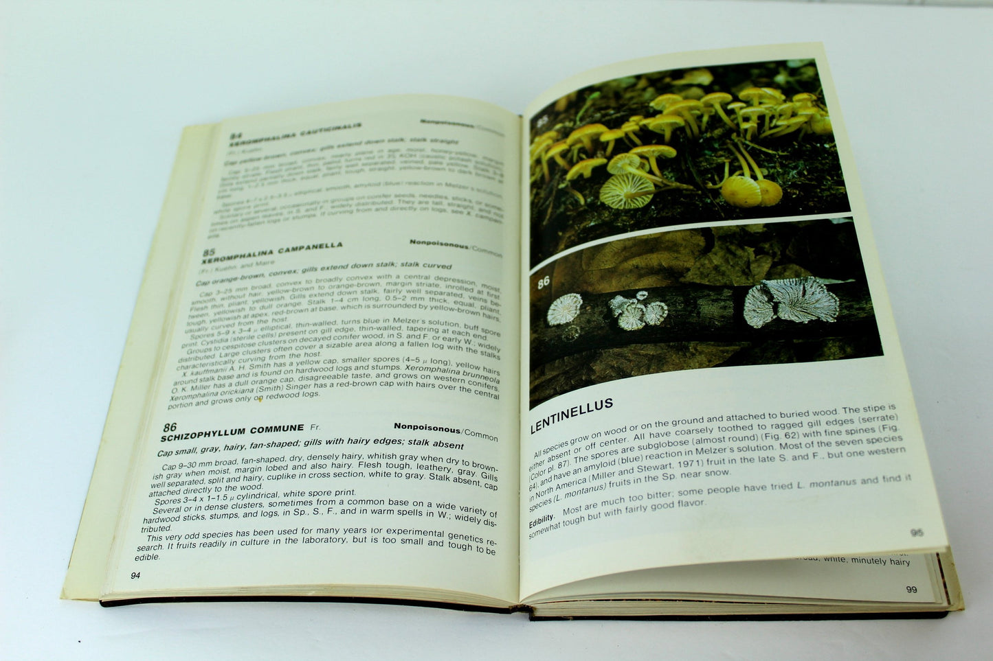 ellent reference for muchrooms