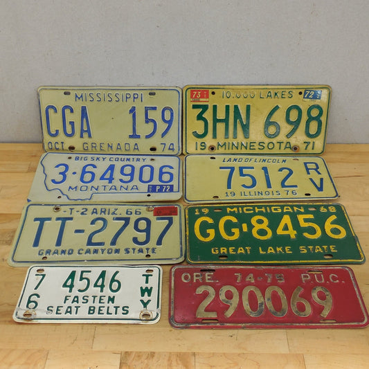 USA 8 Lot 1960-70's License Plate Tags - MS MN MI MN AZ OR NY
