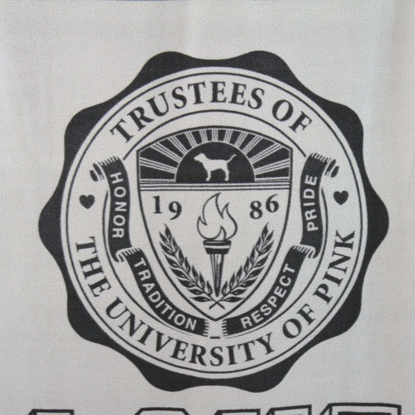 Vintage Victoria's Secret University ofPink Reversible Blanket Throw 52"W X 72"L