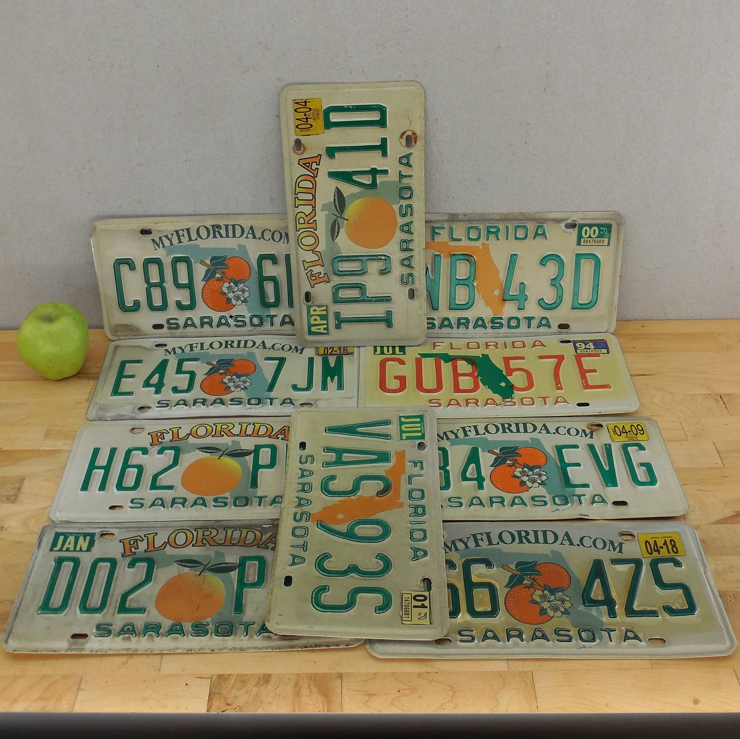 Sarasota County FL 10 Lot Retired License Plate Tags Craft Collect