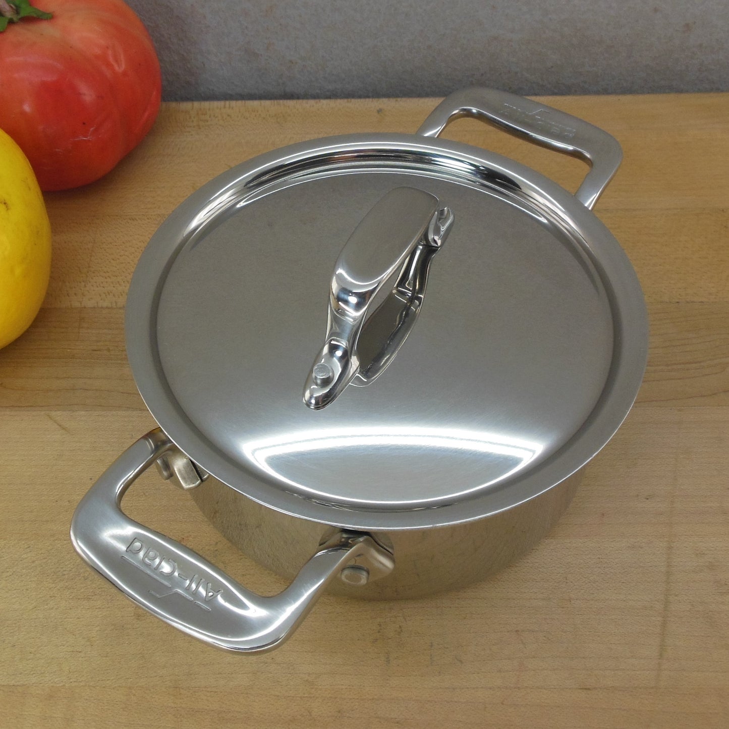 All-Clad Metalcrafters Stainless 0.5 Quart Mini Cocotte Pot Dutch Oven