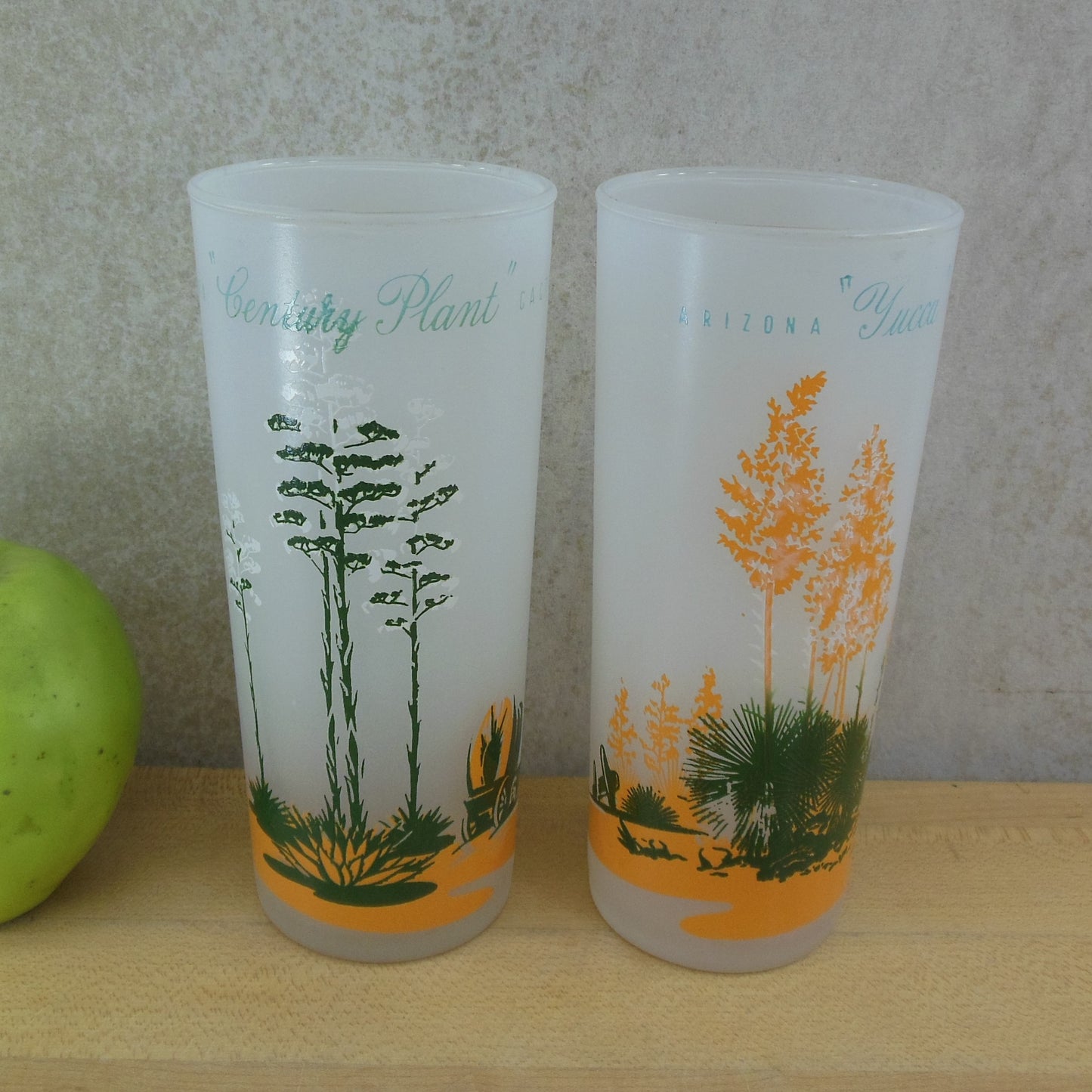 Blakely Oil Gas Pair Arizona Frosted Cactus Drink Glasses Yucca Century Plant Vintage
