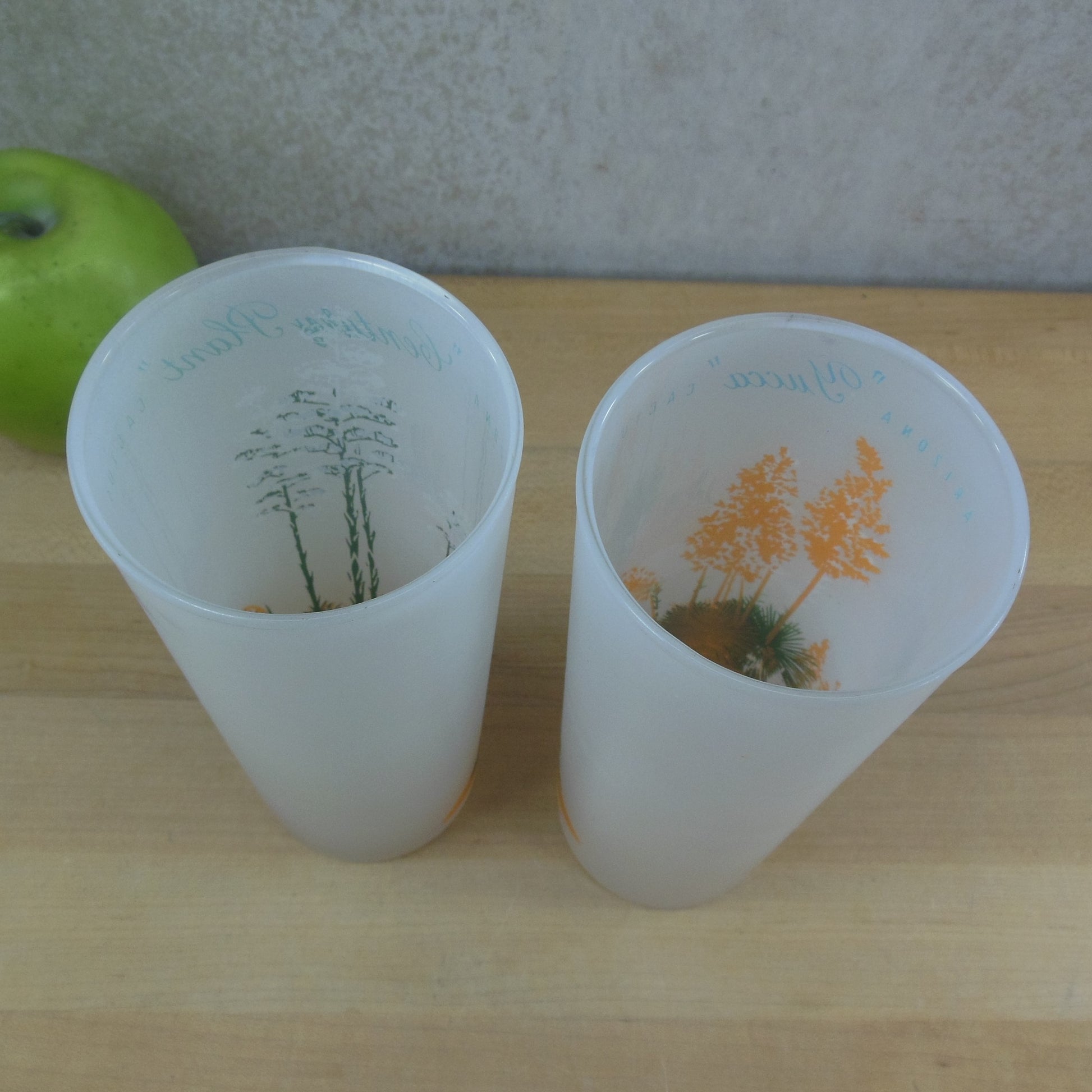 Blakely Oil Gas Pair Arizona Frosted Cactus Drink Glasses Yucca Century Plant Used