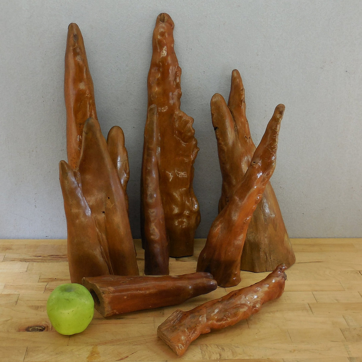 Estate 8 Lot Vintage Cypress Knees Varnished 10" to 20.5"