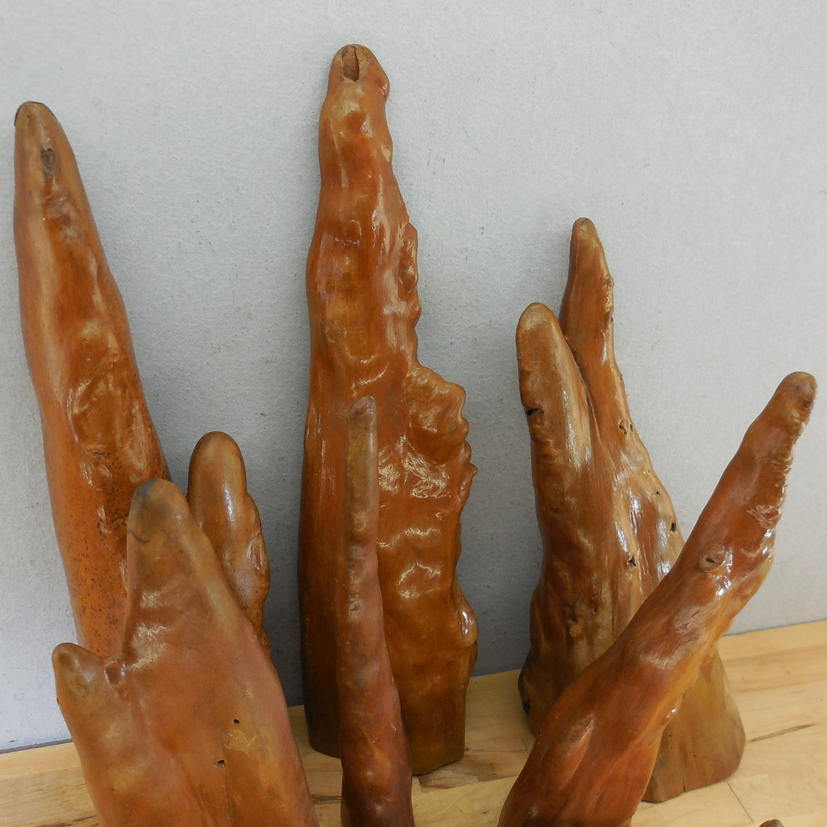 Estate 8 Lot Vintage Cypress Knees Varnished 10" to 20.5"