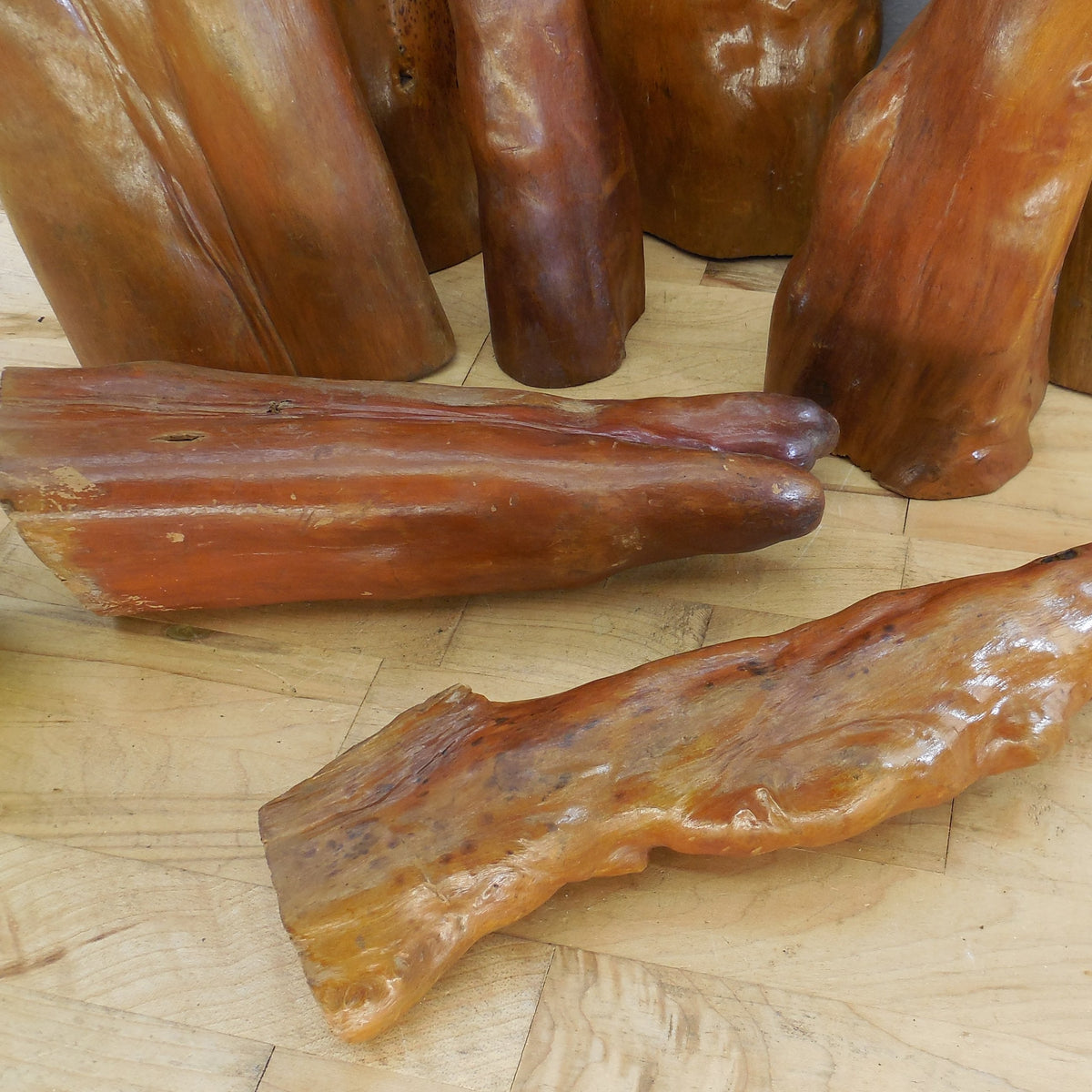 Estate 8 Lot Vintage Cypress Knees Varnished 10" to 20.5"