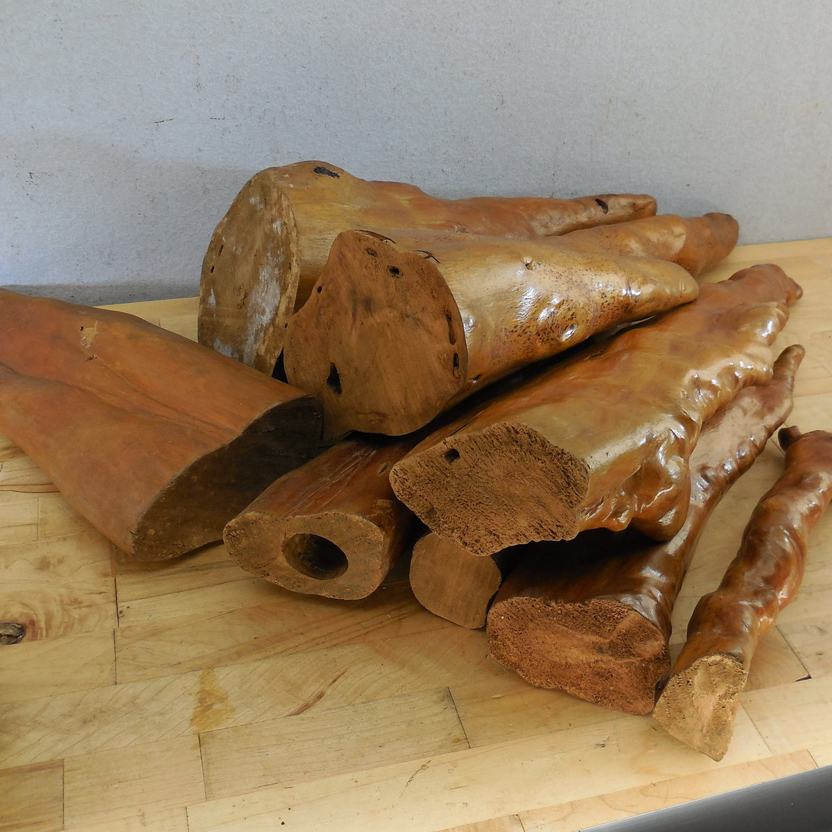 Estate 8 Lot Vintage Cypress Knees Varnished 10" to 20.5"