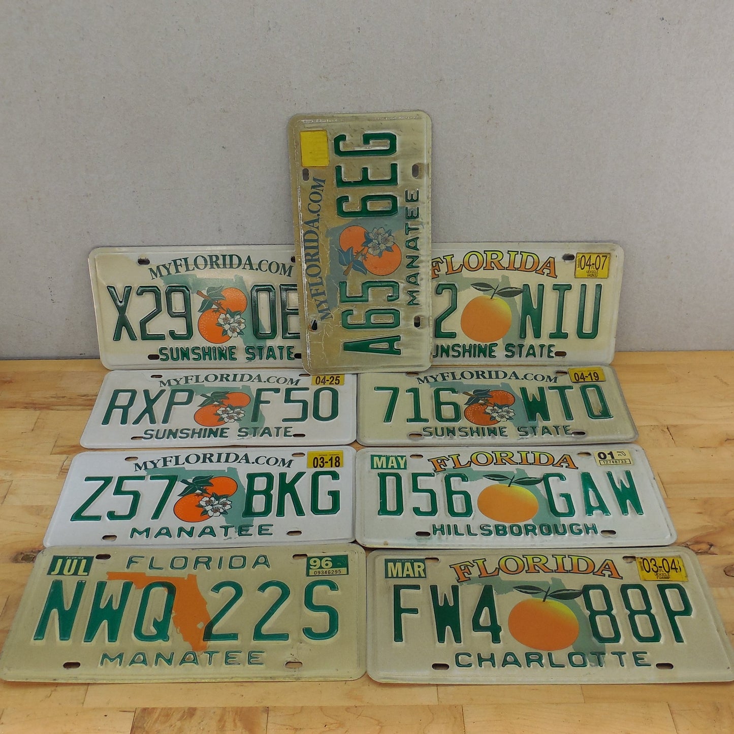 Sarasota County FL 10 Lot Retired License Plate Tags Craft Collect