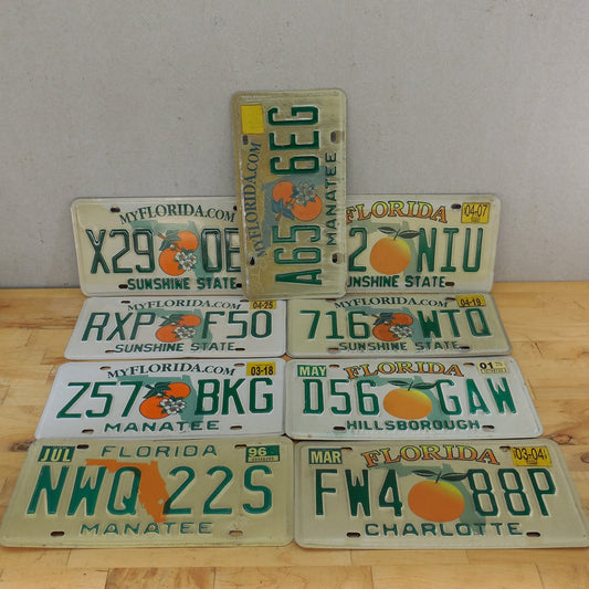 Sarasota County FL 10 Lot Retired License Plate Tags Craft Collect