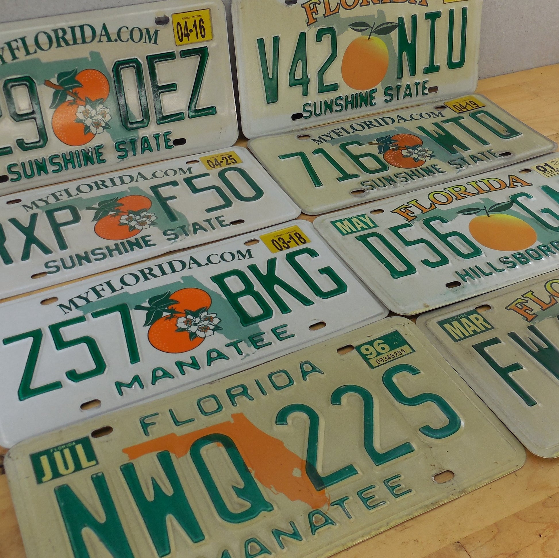 Sarasota County FL 10 Lot Retired License Plate Tags Craft Collect used