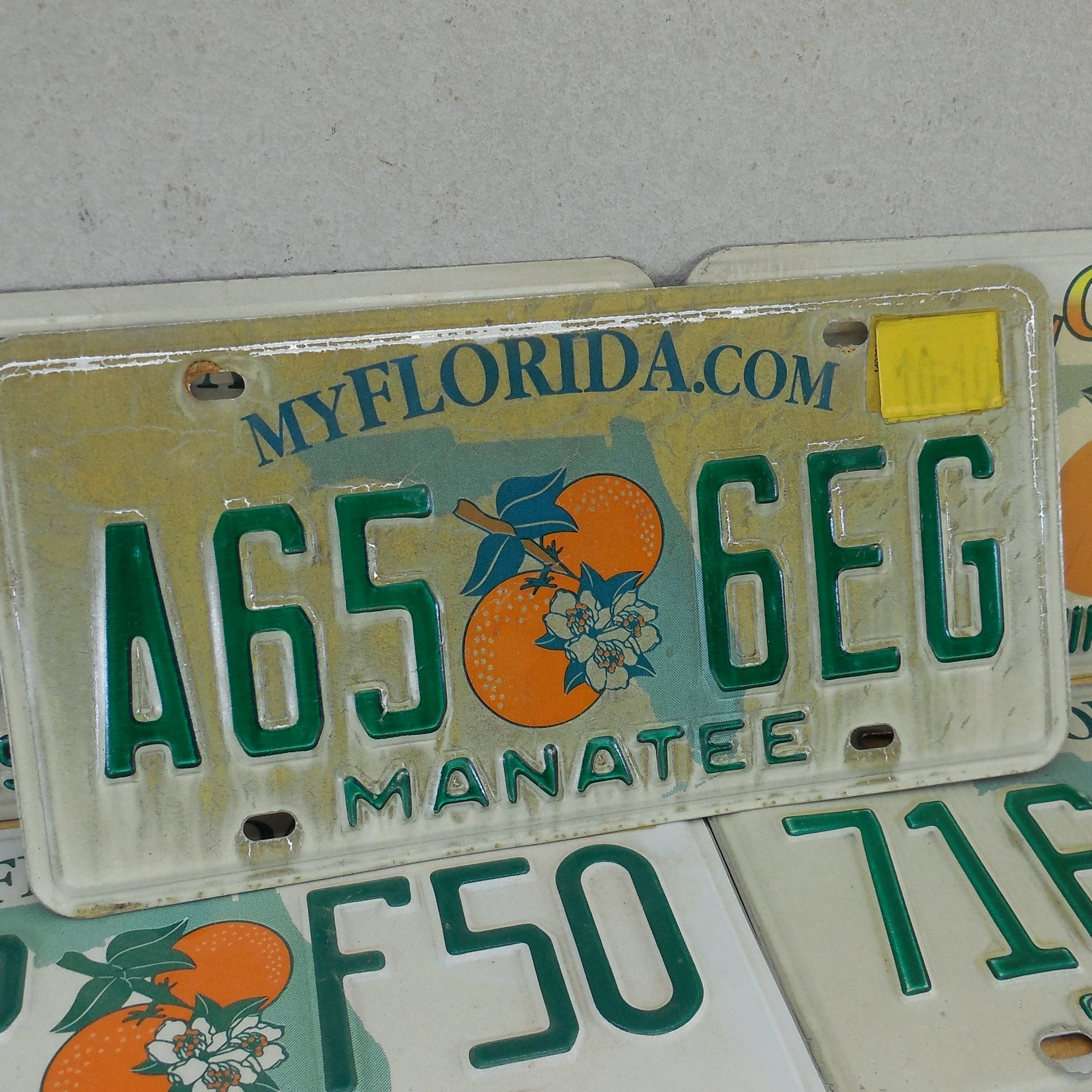 Sarasota County FL 10 Lot Retired License Plate Tags Craft Collect vintage