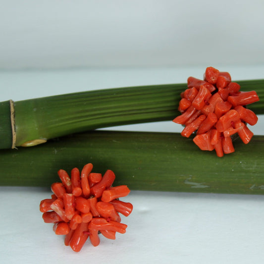 Branch Coral Cluster Vintage 1950 Screw Back Earrings Collectibles