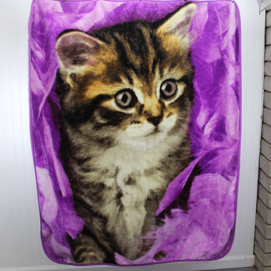 Northwest Throw Blanket Enchanting Tabby Kitten Purple Background