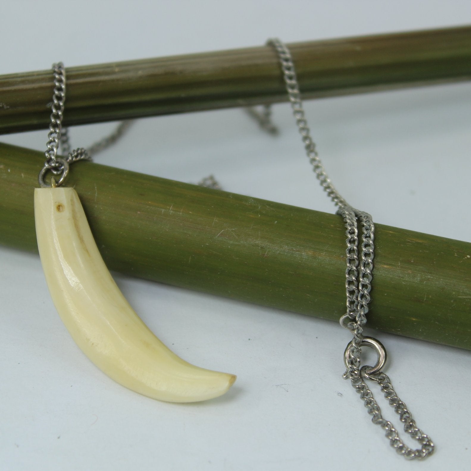 Chain Necklace Natural Bone Tooth curve view