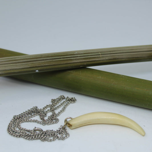 Chain Necklace Natural Bone Tooth