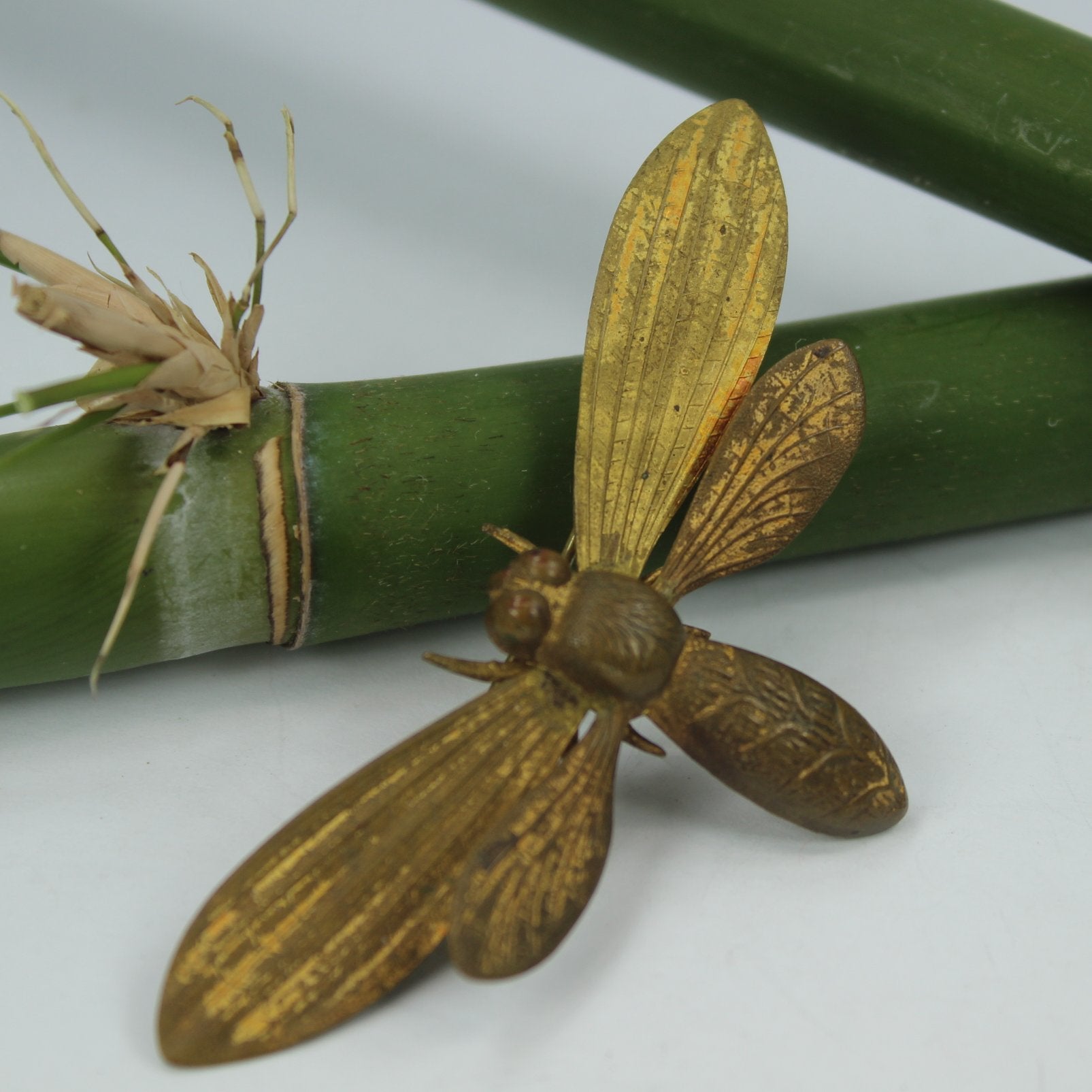 Antique Brass Pin Dragonfly Art Nouveau C Clasp Closure 3" Wide closeup view of insect