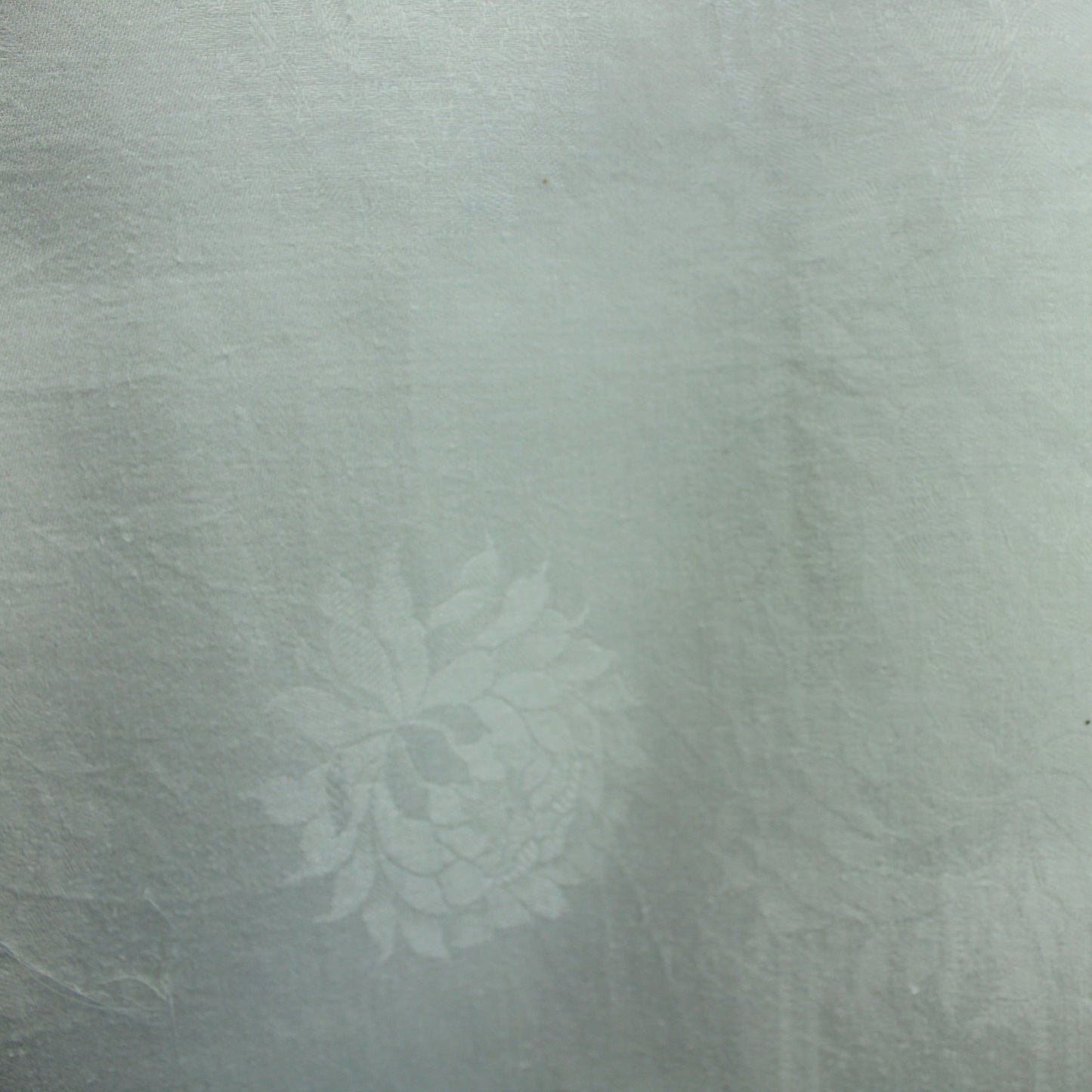 Small White Cotton Damask Tablecloth Chrysanthemum Design 51 1/2" X 52" closeup flower