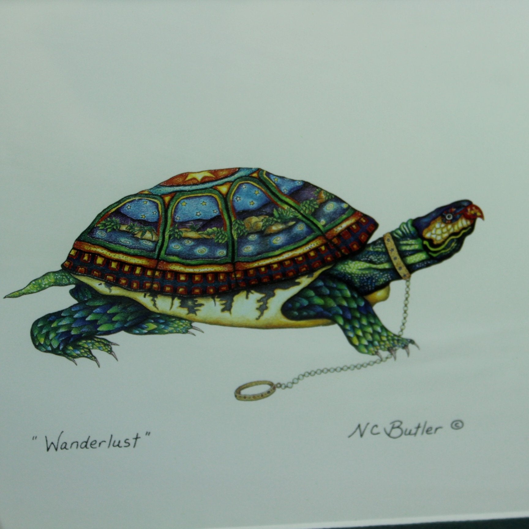 Nora C Butler Framed Print "Wanderlust" Colorful Turtle Beach Art closeup creature