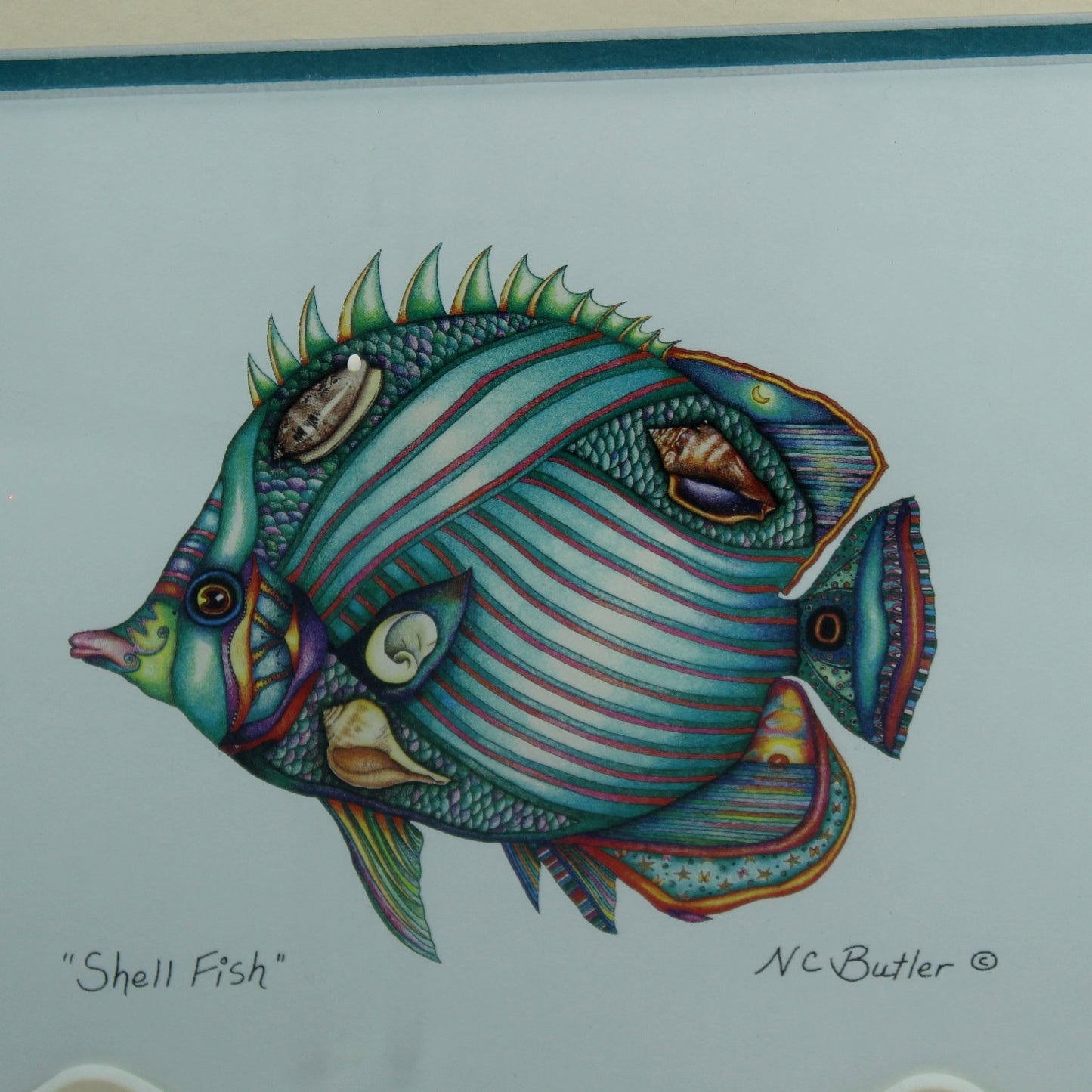 Nora C Butler Framed Print "Shell Fish" Colorful Tropical Fish Art closeup of fish