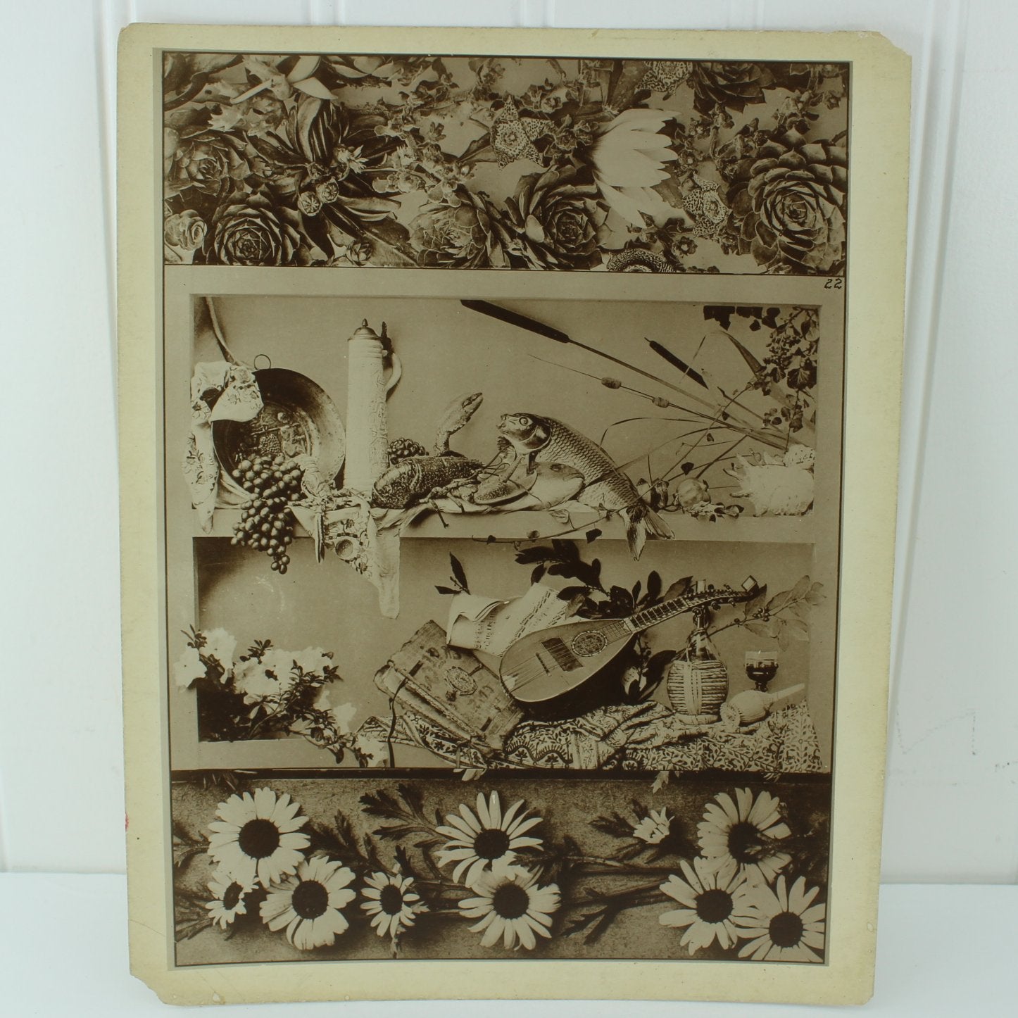 Antique 1890 H C Perleberg Festons First Series 50 Sepia Photograph Plates of 66 & Title Page Estate floral banjo fish