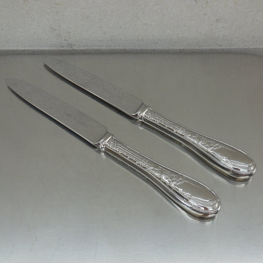 Ricci Argentieri Japanese Bird Stainless Flatware - 2 Dinner Knives 9-1/2"