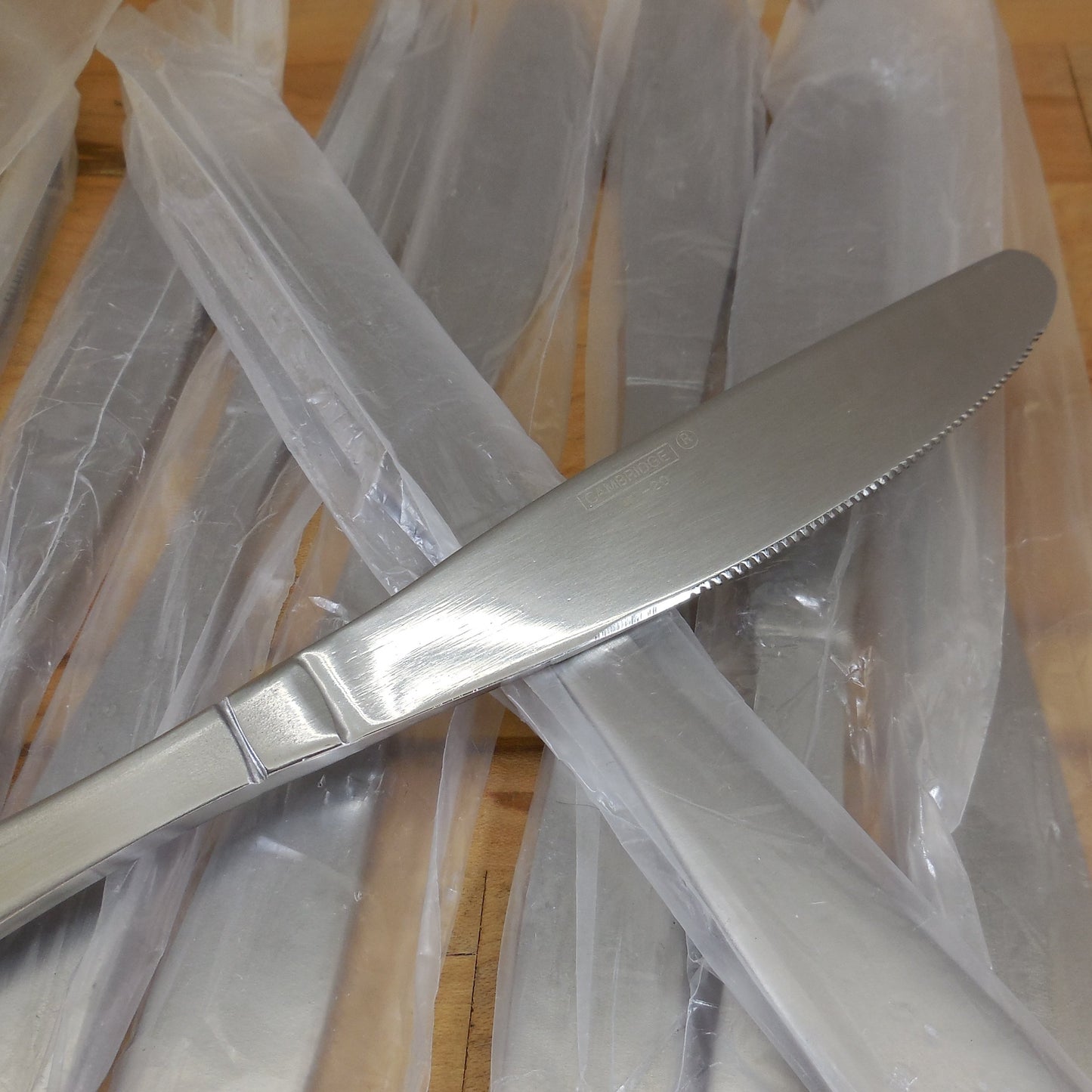 NIP Cambridge Madison Stainless Flatware - 9 Dinner Knives plastic sleeves