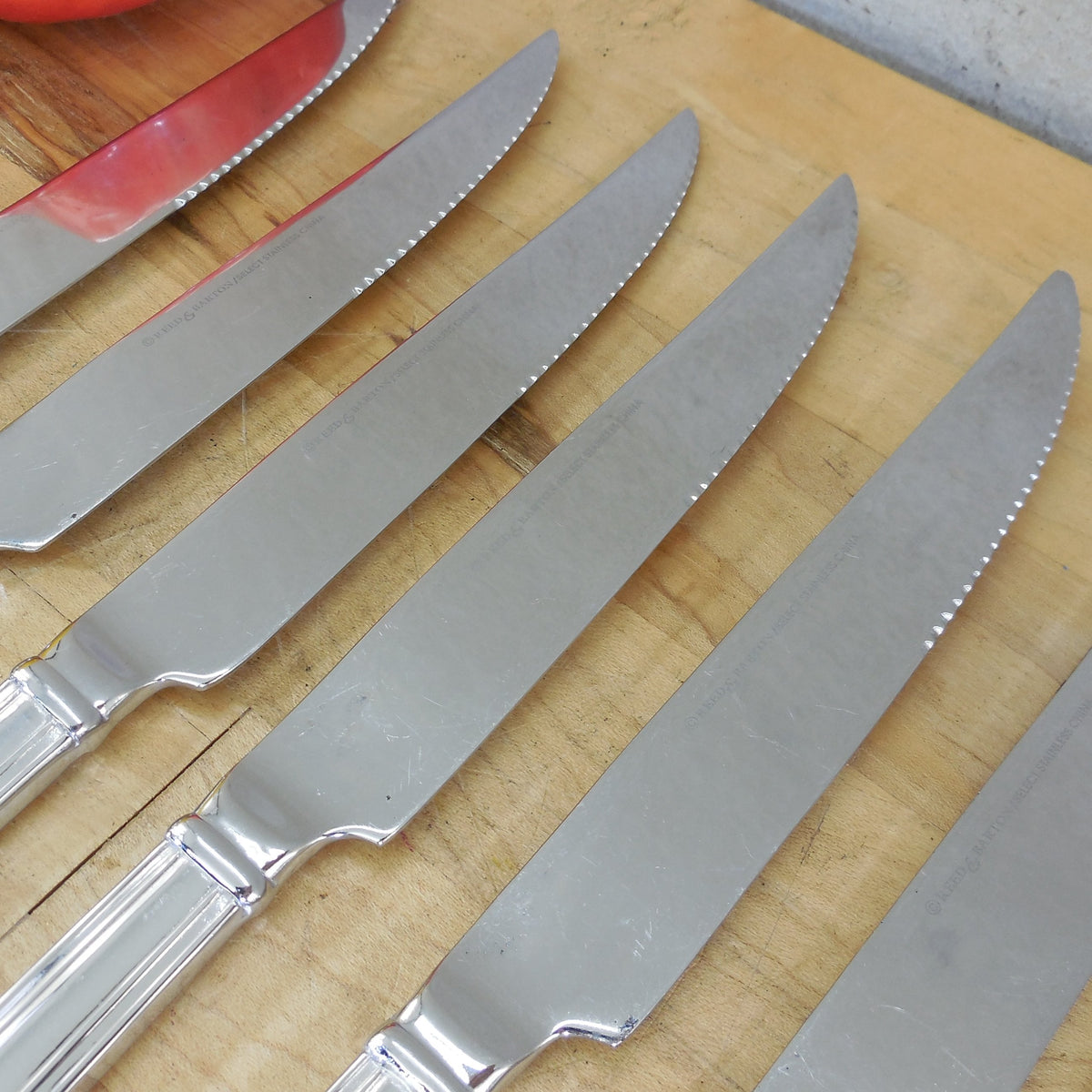 Reed & Barton Palladian Stainless Flatware - 10 Steak Knives