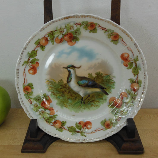 Carl Tielsch Germany Antique Porcelain Game Bird Plate Cherry Border