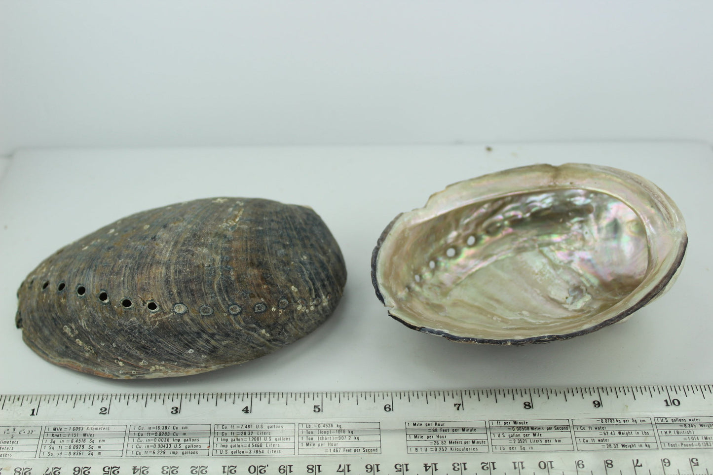 Black Abalone Shells 2 Vintage Rainbow Iridescent  5 1/4"  5" Estate Collection Shell Art Collectibles older