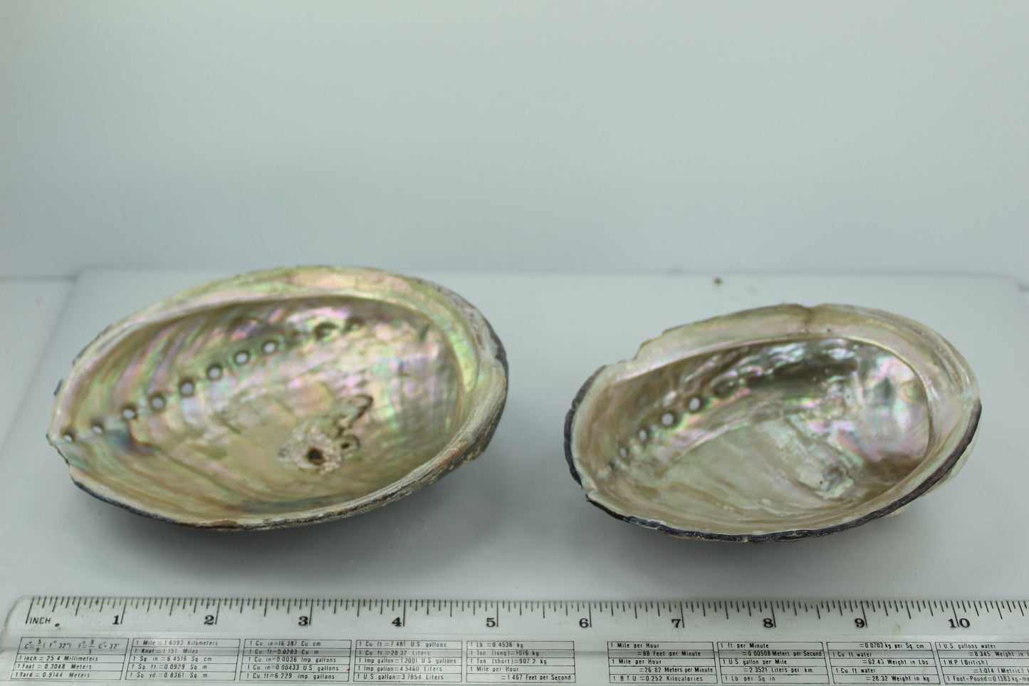 Black Abalone Shells 2 Vintage Rainbow Iridescent  5 1/4"  5" Estate Collection Shell Art Collectibles colorful