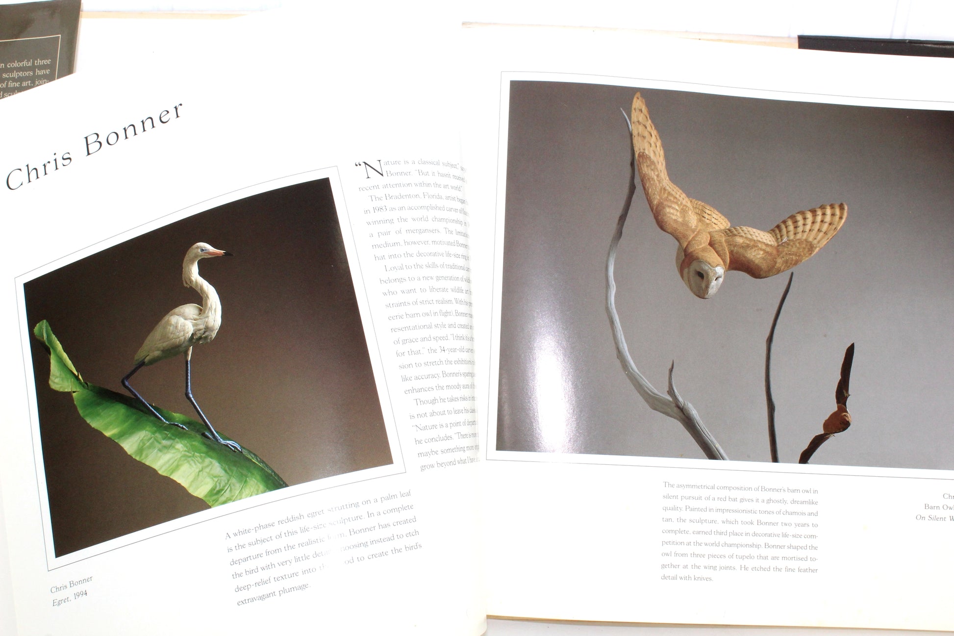 Wildfowl Art 1996 Carving Competition Winners Hardcover Beautiful Photos Laurel Aziz carved water birds