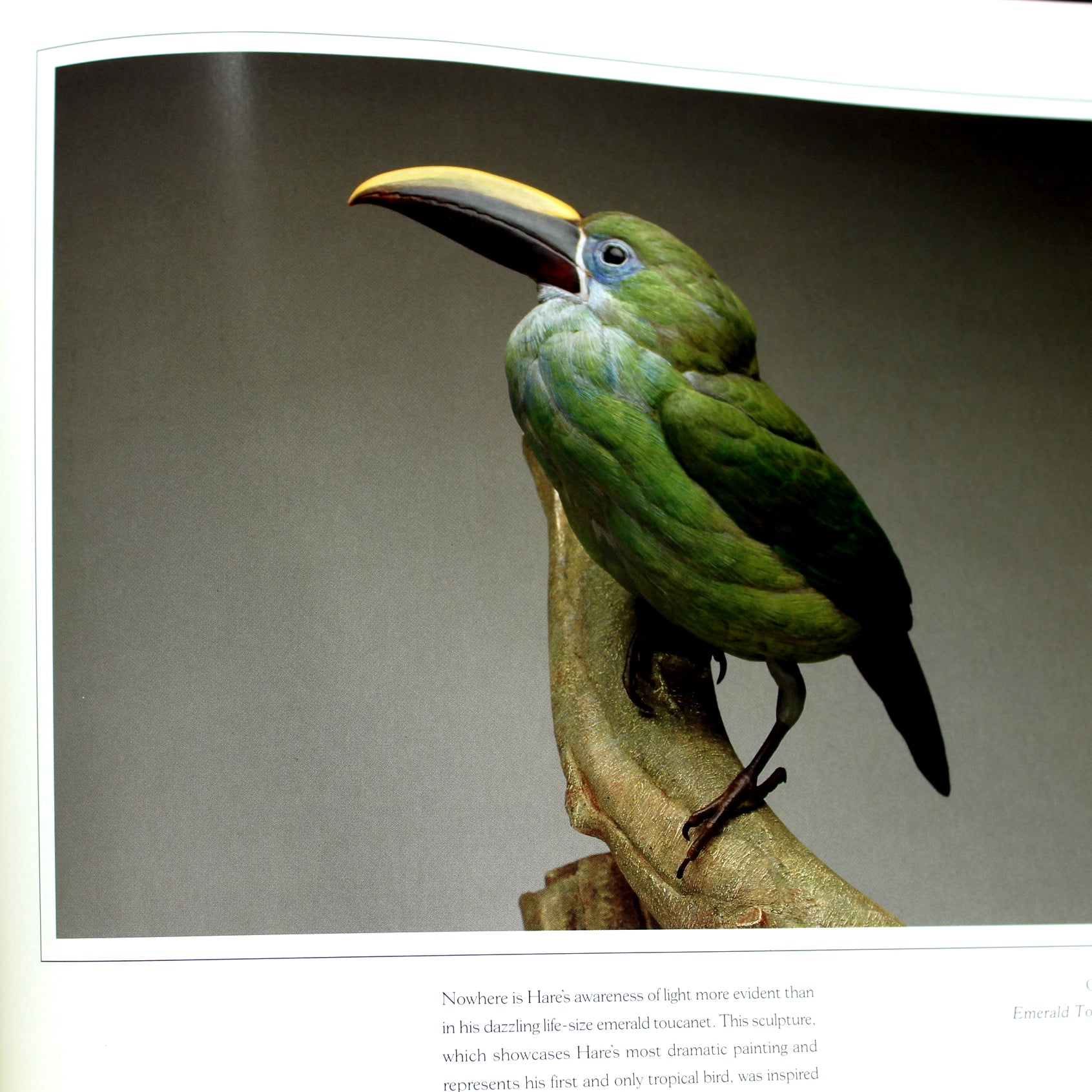 Wildfowl Art 1996 Carving Competition Winners Hardcover Beautiful Photos Laurel Aziz international competition carving