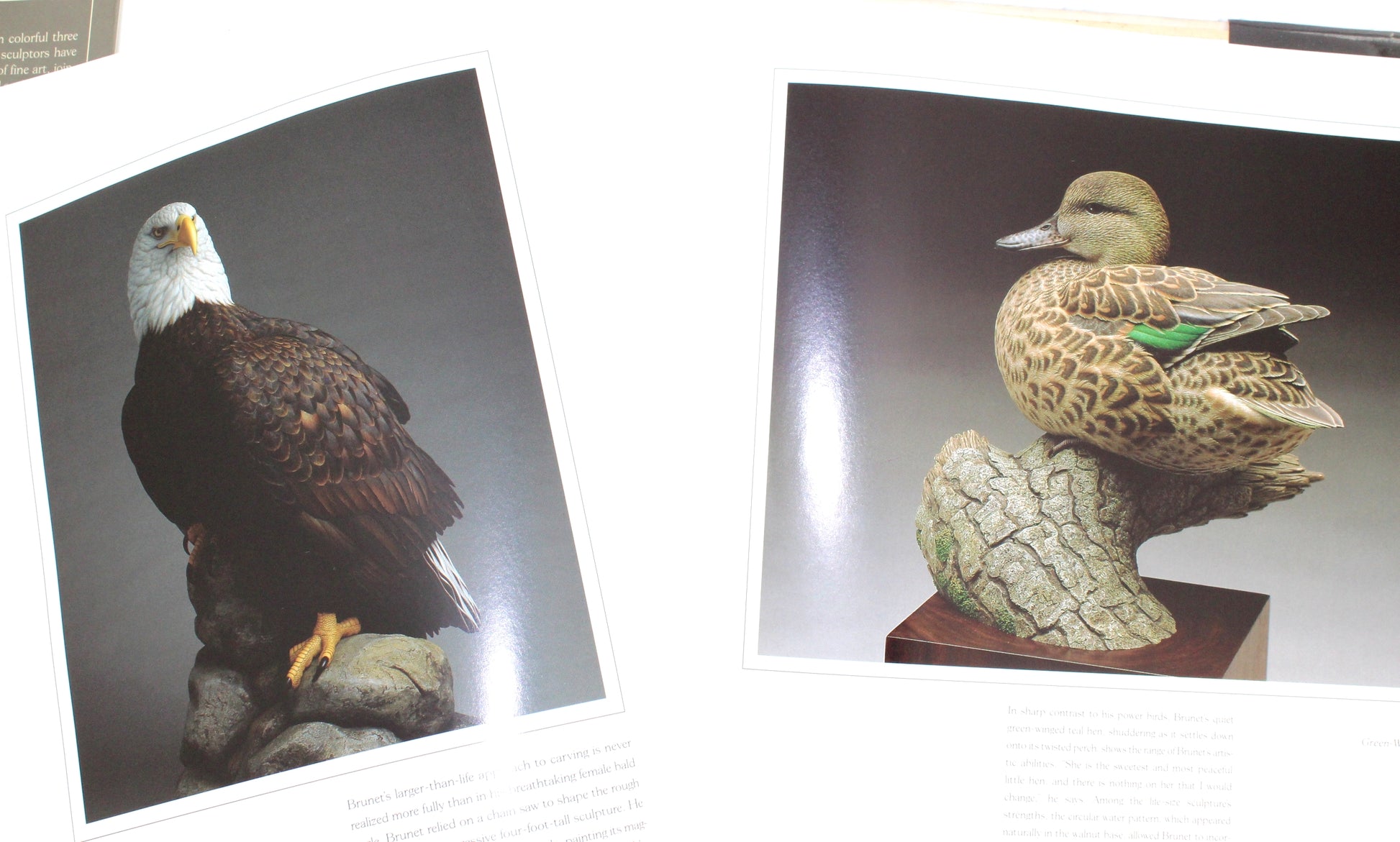 Wildfowl Art 1996 Carving Competition Winners Hardcover Beautiful Photos Laurel Aziz ducks eagle