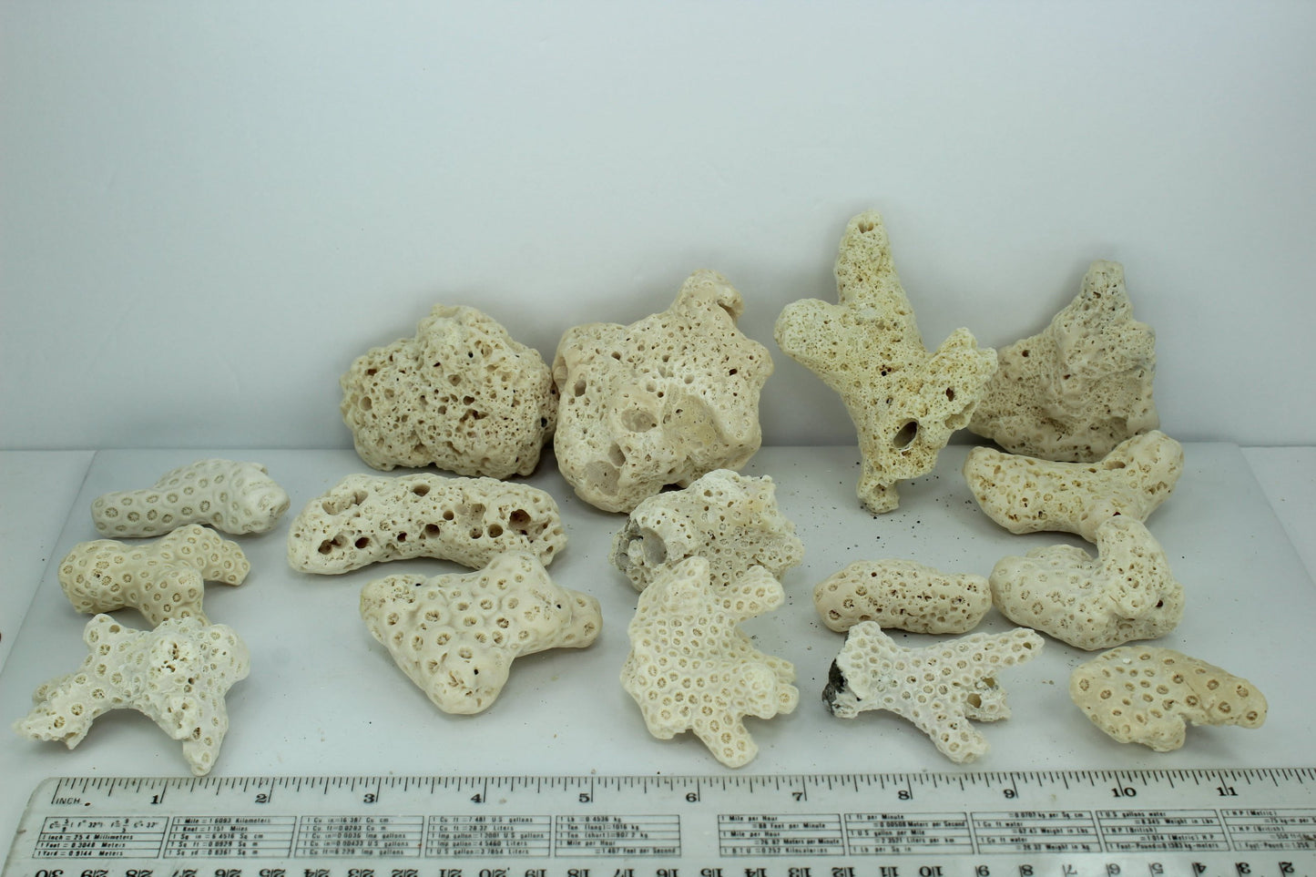 Natural Coral Fossils 16 Small Pieces 3 1/2" to 32 Vintage Estate Collection Aquarium Shell Art Collectibles