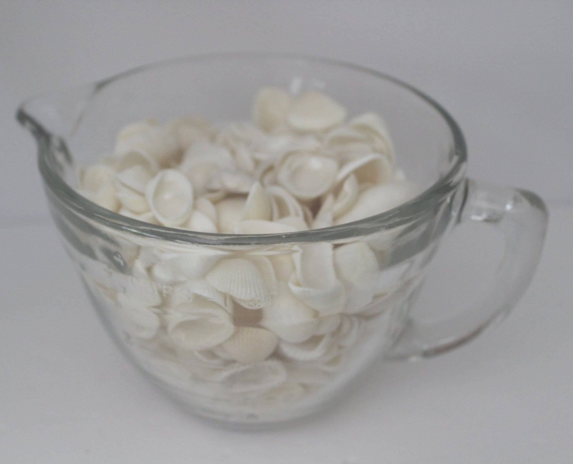 Seashells - Florida Natural Shells Small White Bulk 4 Cups Wedding Jewelry Shell Art - Olde Kitchen & Home