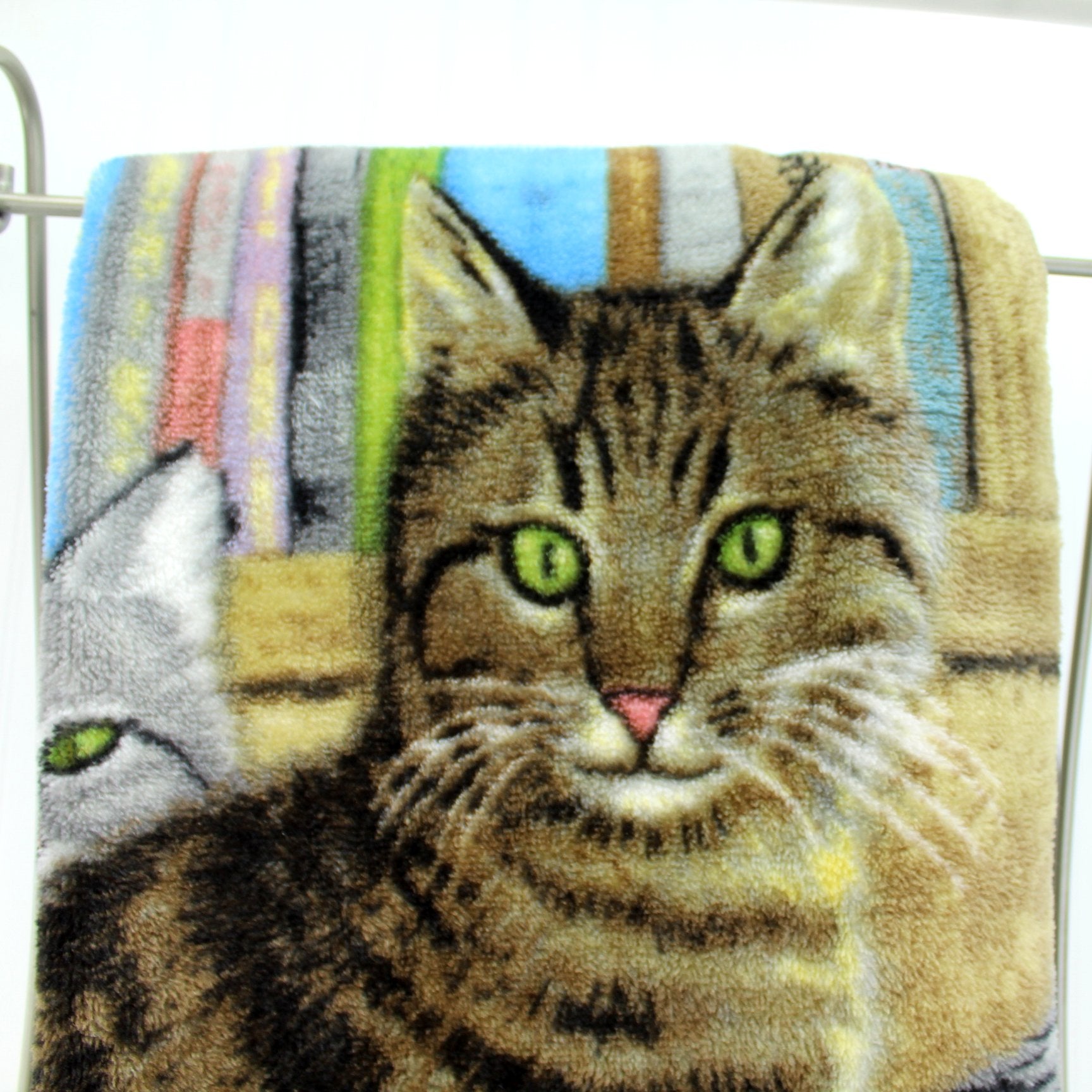 Northwest James Hautman Polyester Plush Throw Blanket Cat Kitten Yarn closeup largest cat green eyes