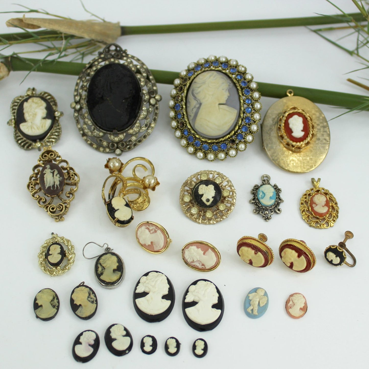 Collection Cameo Jewelry DIY Project Pins Earrings Lockets Repurpose