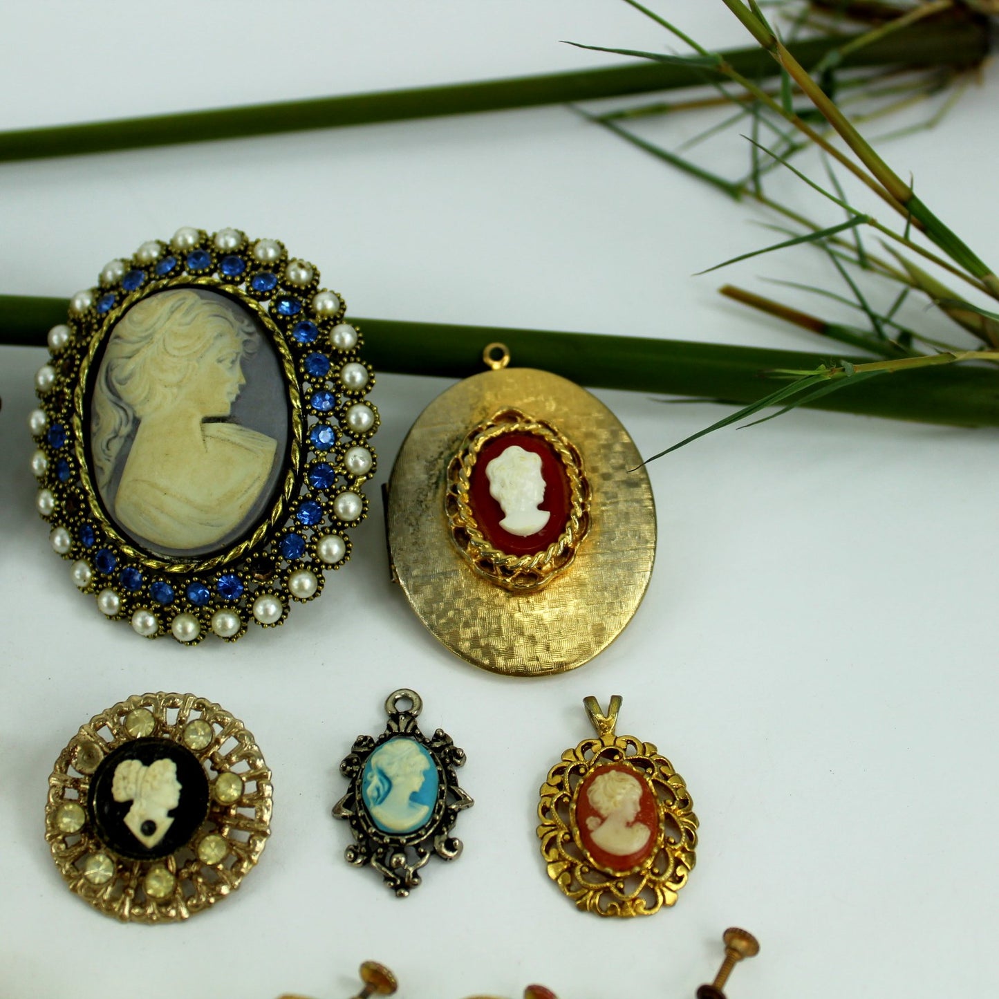 Collection Cameo Jewelry DIY Project Pins Earrings Lockets Repurpose closeup photo