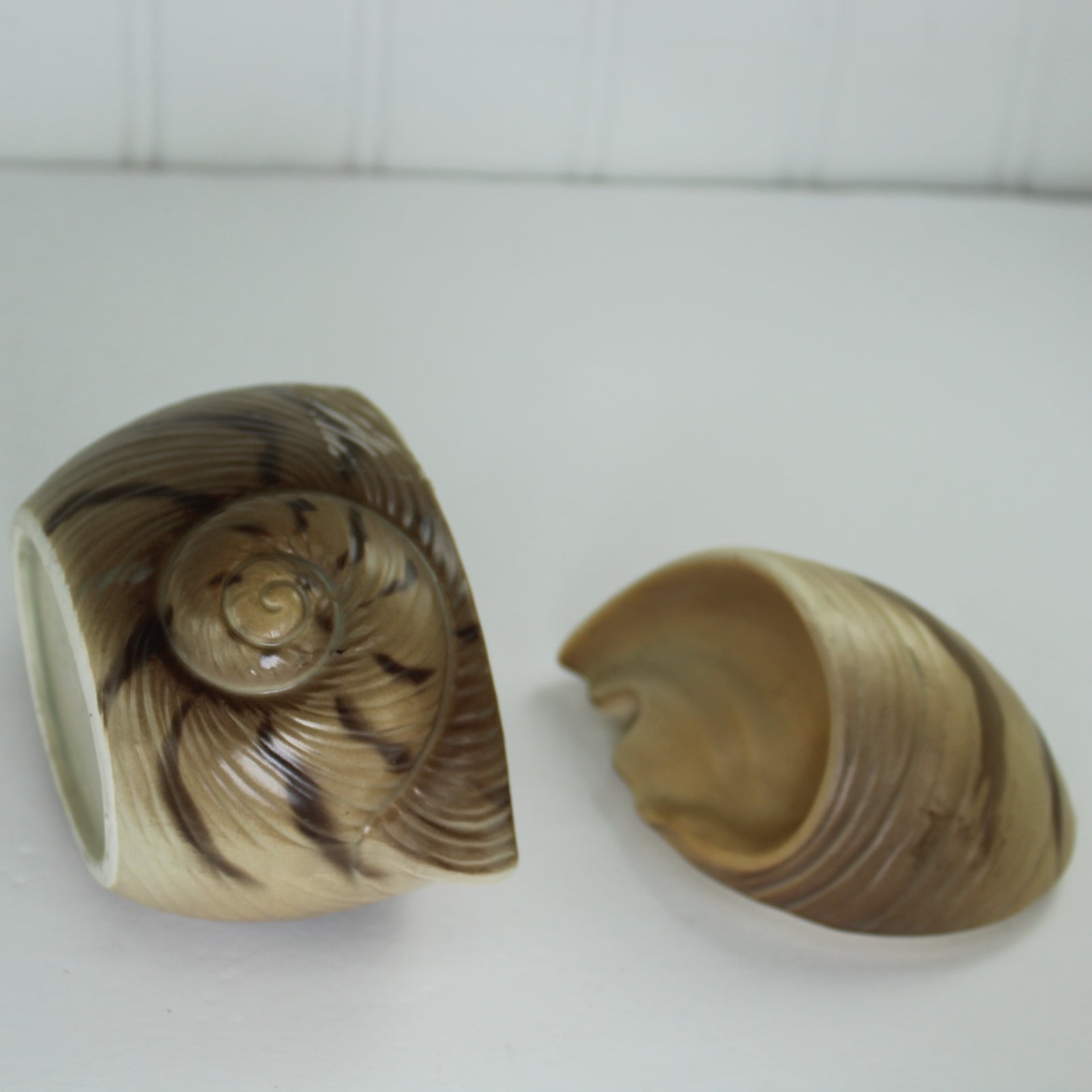 Unique Shell Shape Small Lidded Dish Otagiri 1982 Really Sweet Different view front and lid top