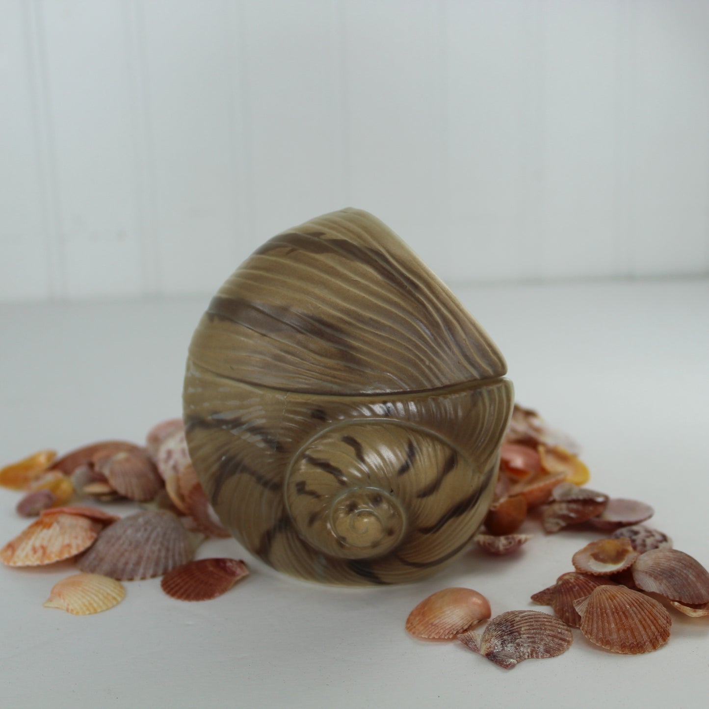 Unique Shell Shape Small Lidded Dish Otagiri 1982 Really Sweet Different