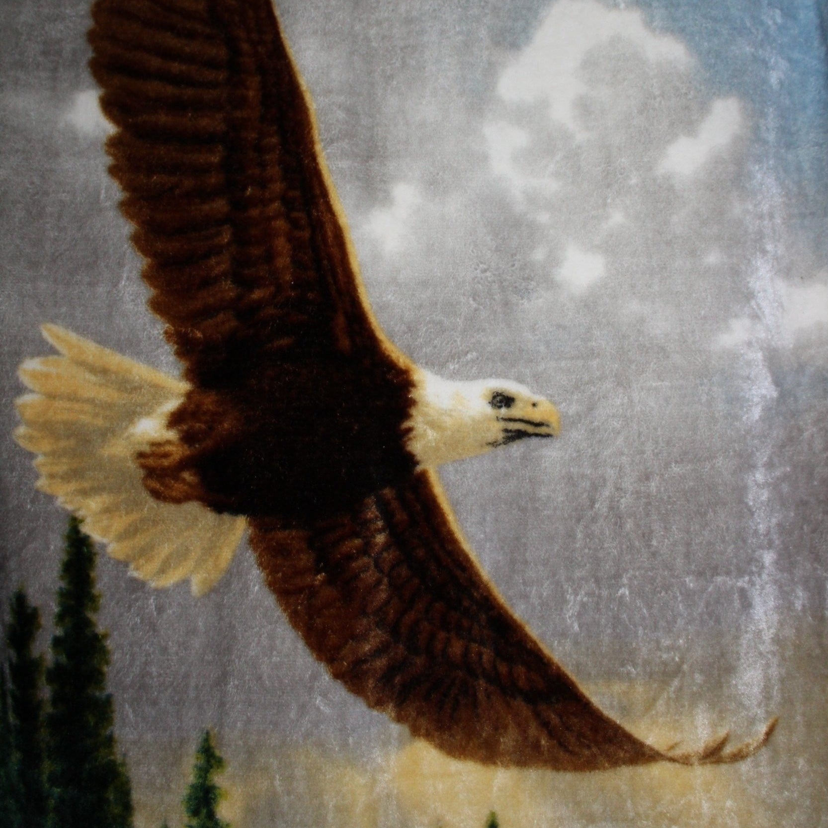 Northwest USA James Hautman Polyester Plush Throw Blanket Eagle in Flight 48" X 62"
