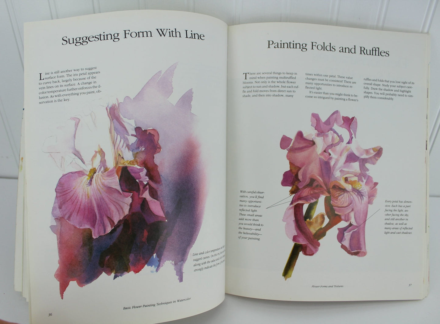 Kunz & Wolf Collection 2 Books Painting Flowers Basic Watercolors Florals That Glow basic instructions