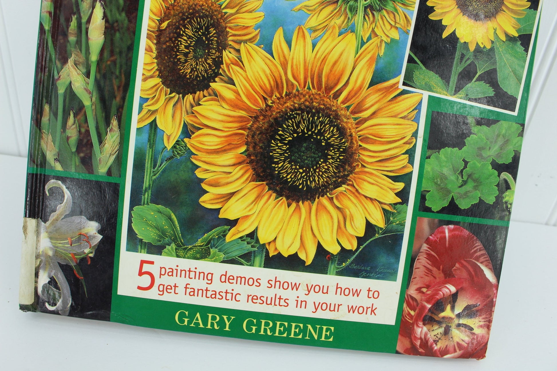 Gary Greene Artist's Photo Reference Flowers 500+ Photos & How To 5 painting demos