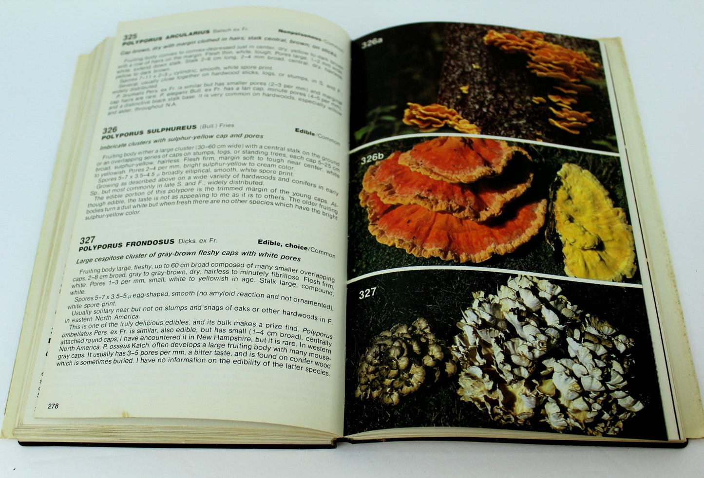 Mushrooms  North America Orson Miller 322 Species Printed 1979 condition good